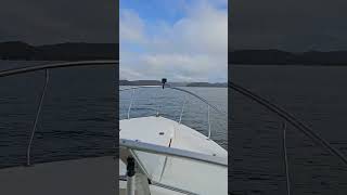 Hawkesbury River Cruzin in the Mustang 🚤 [upl. by Horace]