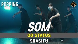 【 POPPING 】 OG STATUS  SHASHU  SOM [upl. by Lail163]