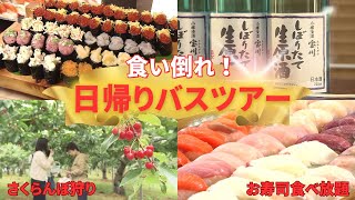 【超お得！食い倒れバスツアー】さくらんぼ狩り＆豪華なお寿司食べ放題 [upl. by Ayital744]