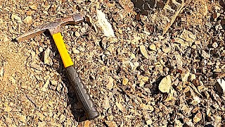 PLANT FOSSILS  Exploring the Old Blewett Pass Highway [upl. by Divad]