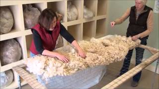 How to Skirt an Alpaca Fleece [upl. by Cichocki]