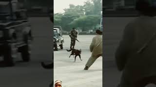 Indian army dog attack  teri rst attitude  indian army [upl. by Ynaffat]