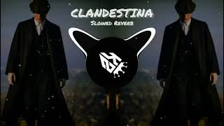 Clandestina slowed reverbbassboosted music slowedreverb [upl. by Waddle278]