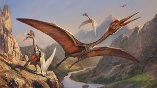 Largest Ancient Flying Animals To Ever Exist [upl. by Ariaet]