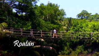 Honduras Roatan [upl. by Eitsirc]