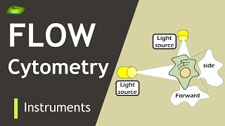 Flow Cytometry  Cell counting  Cell Sorting  Scattering  Basic Science Series [upl. by Naashom]