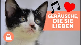 7 GERÄUSCHE die KATZEN lieben 🐱🔊  Geräusche um deine KATZE ANZULOCKEN ✅ [upl. by Alag745]