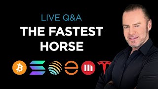 🏇How to identify the fastest horses 🏆 [upl. by Leonelle966]