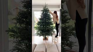 Tannenbaum aufstellen amp schmücken 🎄 mit der ganzen Familie 😍 shorts Mamiseelen [upl. by Jordans]