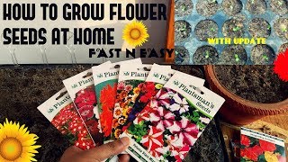 How To Grow Flower Seeds Fast With Update [upl. by Nojel]