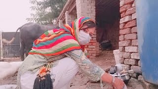 Bartn Saaf Krna B Kya Mazy Ka Kaam H ll Rj imrana official [upl. by Consuela308]