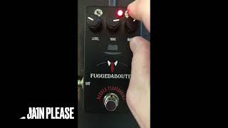 Barber Electronics Fuggedaboutit pedal Demo [upl. by Azelea]