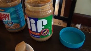 5in3 Peanut Butter Tasting [upl. by Kcinemod]