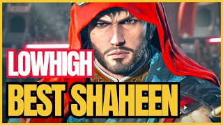 T8 ▰ Best of LOWHIGH  The Best SHAHEEN In The World 【Tekken 8】 [upl. by Heddie]