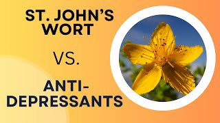 How St Johns Wort Outperforms AntiDepressant Meds [upl. by Ludwig67]