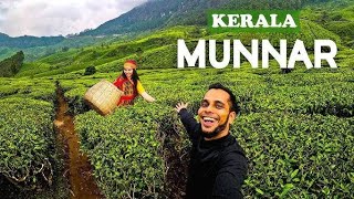 Munnar Tourist Places  Munnar Travel  Kerala tourist places travel nature mountains waterfall [upl. by Aserret]