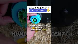 Flaxseed Oil Vs Linseed Oil  What Is The Difference For Your Horse [upl. by Sirron]