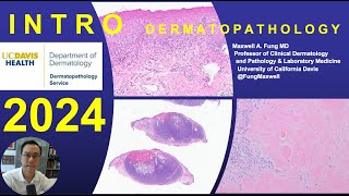 DERMATOPATHOLOGY Introduction to Dermatopathology 2024 [upl. by Evaleen563]