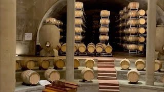 Visita a Bodega Salentein en Mendoza Argentina Tour del vino [upl. by Akeyla809]