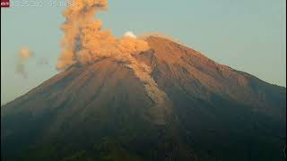 Dec 25 2023 nice pyroclastic flow on Semeru volcano [upl. by Thedric]