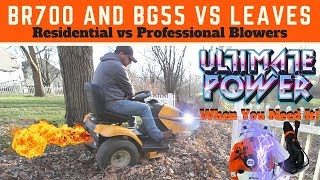 STIHL BR700 and STIHL BG55 Blowing Leaves ► Lawn Mower Leaf Plow [upl. by Kilmarx]