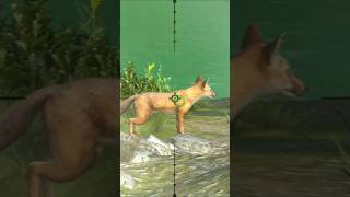 FOX HUNTING shorts viralvideo party 011 [upl. by Ahseniuq]