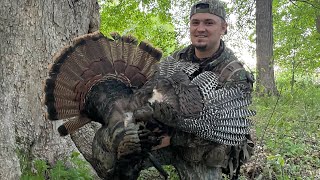 Hardwoods Turkey Hunting in Ohio [upl. by Millham223]