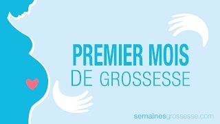 Premier mois de grossesse  Mois 1 de grossesse  La grossesse mois par mois [upl. by Retnuh783]