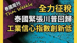 【泰國週刊 • 政經】假如川普當選美國總統，對泰國有什麼影響？  泰國去年哪些業務最賺錢？  更多企業倒閉，更多信心喪失（第 200 期） [upl. by Domenech]