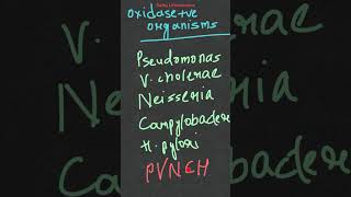 Oxidase test microbiological identification test biochemical test [upl. by Aenat]