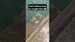 Cant believe how he caught that fishinglife fishtank fisherman fishvideo river aquarium fish [upl. by Connelly]