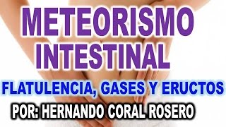 METEORISMO INTESTINAL  FLATULENCIA GASES Y ERUCTOS [upl. by Aleunamme332]