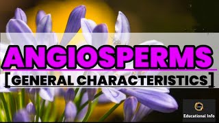 Angiosperms  General character  Biology  Educational info [upl. by Rawdon615]