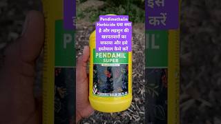 Pendimethalin Herbicide dawa kya hai shorts agriculture herbicide lahsun mybestkheti [upl. by Arriaes892]