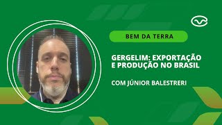 Gergelim exportação e produção no Brasil [upl. by Nere777]