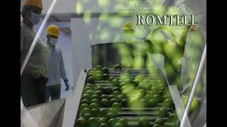 video promocional Romtell [upl. by Yruama949]