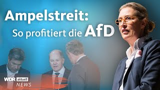 AfD und SPD in Umfragen gleichauf Unzufriedenheit mit AmpelRegierung  Aktuelle Stunde [upl. by Lebasiram]