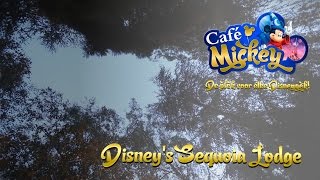 2015 Disneys Sequoia Lodge  Disneyland Paris [upl. by Ailuj]