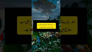 Qaran majeed sorry ghafrYouTube Short [upl. by Neehsuan]