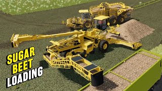 Sugar Beet Loading Machine  Ropa Maus 5  Farming Simulator 22 [upl. by Llenod]