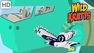 Wild Kratts  Disturbance In The Creature World  Kids Videos [upl. by Wong]