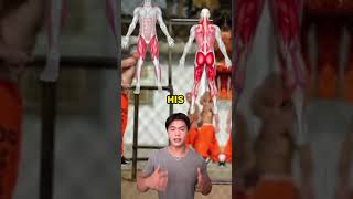 Are prison cells gyms in disguise bodybuilding fitness workout boxing [upl. by Epoillac]