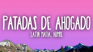 LATIN MAFIA Humbe  Patadas de Ahogado  Tú hueles a vainilla te quiero [upl. by Adam]