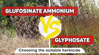 The most common herbicides  glufosinate ammonium vs glyphosate [upl. by Naihtsirc288]