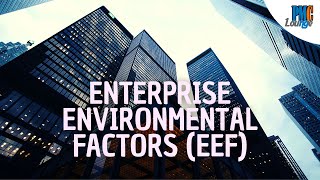 Enterprise Environmental Factors EEF [upl. by Emmuela]