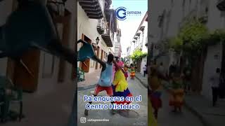 Pelea de Palenqueras de Cartagena Colombia [upl. by Kinna]