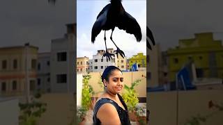 Woman transforms into a real Crow 🐦 in AGT Americas got talent 😱😂 Duo SchumacherAGTmagic [upl. by Ehud93]