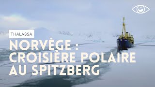 Norvège  croisière polaire au Spitzberg  Thalassa [upl. by Nirot]