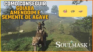 SOULMASK  Onde Encontrar Goiaba Amendoim e Semente de Agave [upl. by Alda937]