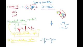 ECG 2 by Coiled ENGLISH sinus junctional supraventricular idioventricular rhythms afibflutter [upl. by Ettenna]